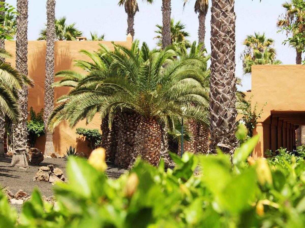 Family Apartment 1 Bedroom With Pool View 2 - Oasis Duna Resort Corralejo Exteriör bild